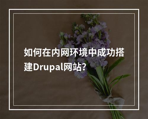 如何在内网环境中成功搭建Drupal网站?