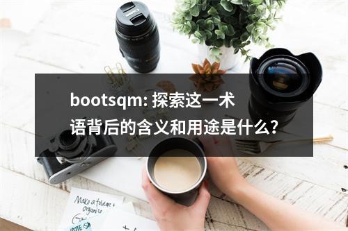 bootsqm: 探索这一术语背后的含义和用途是什么?