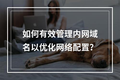 如何有效管理内网域名以优化网络配置?