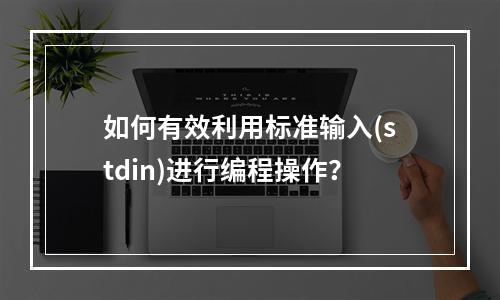 如何有效利用标准输入(stdin)进行编程操作?