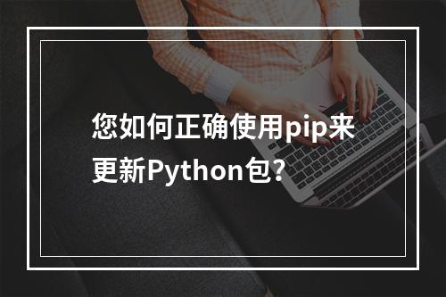 您如何正确使用pip来更新Python包?