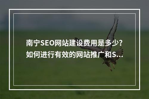南宁SEO网站建设费用是多少?如何进行有效的网站推广和SEO设置?