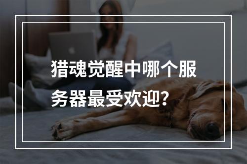 猎魂觉醒中哪个服务器最受欢迎?