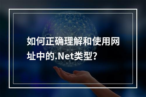 如何正确理解和使用网址中的.Net类型?