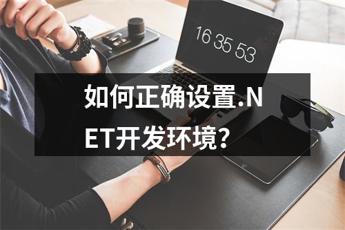 如何正确设置.NET开发环境?