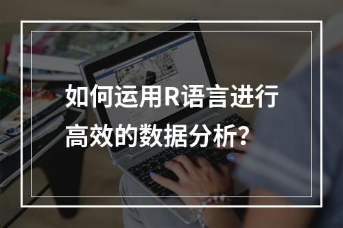 如何运用R语言进行高效的数据分析?