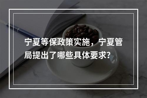 宁夏等保政策实施,宁夏管局提出了哪些具体要求?