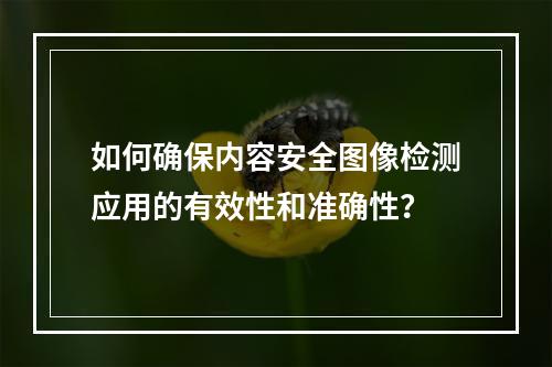 如何确保内容安全图像检测应用的有效性和准确性?