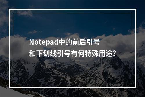 Notepad中的前后引号和下划线引号有何特殊用途?