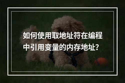 如何使用取地址符在编程中引用变量的内存地址?