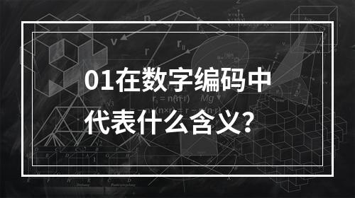 01在数字编码中代表什么含义?