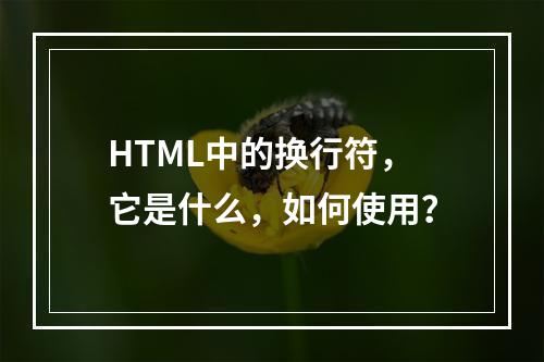 HTML中的换行符,它是什么,如何使用?