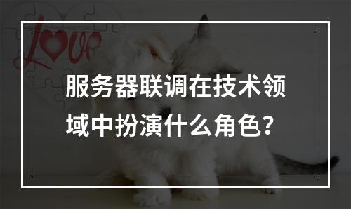 服务器联调在技术领域中扮演什么角色?