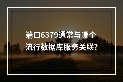 端口6379通常与哪个流行数据库服务关联?