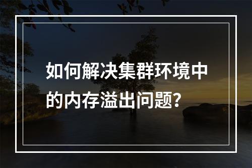 如何解决集群环境中的内存溢出问题?