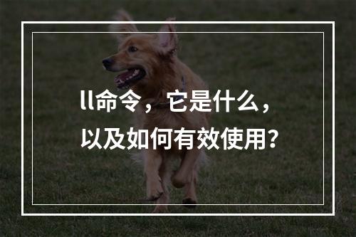 ll命令,它是什么,以及如何有效使用?