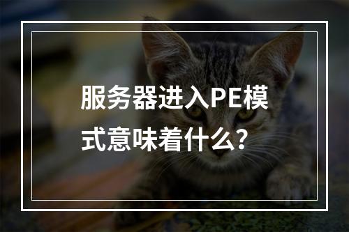服务器进入PE模式意味着什么?