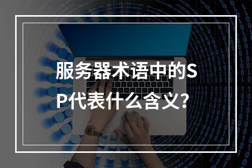 服务器术语中的SP代表什么含义?