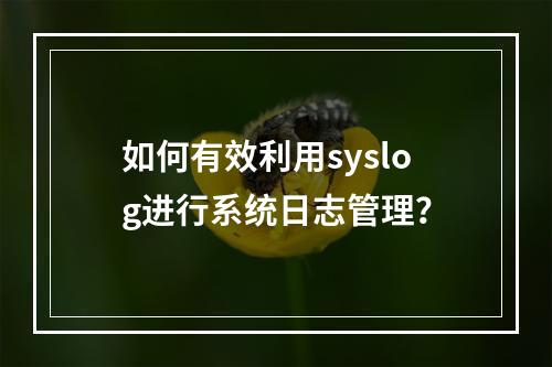 如何有效利用syslog进行系统日志管理?