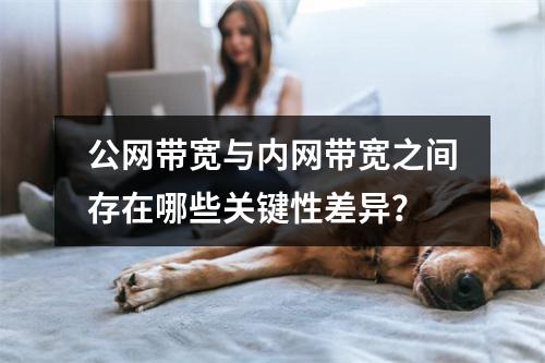 公网带宽与内网带宽之间存在哪些关键性差异?