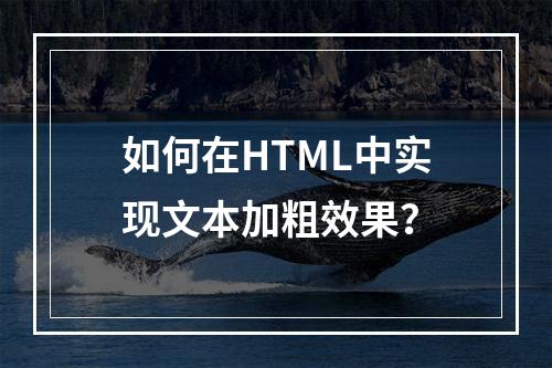 如何在HTML中实现文本加粗效果?
