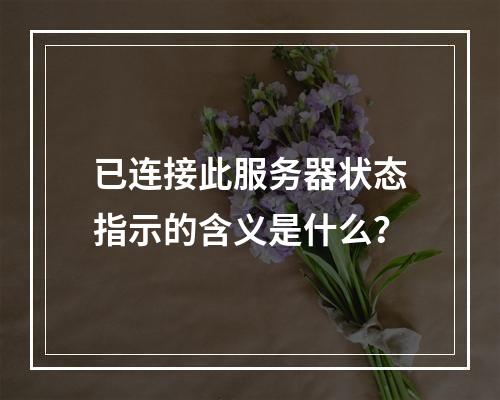 已连接此服务器状态指示的含义是什么?