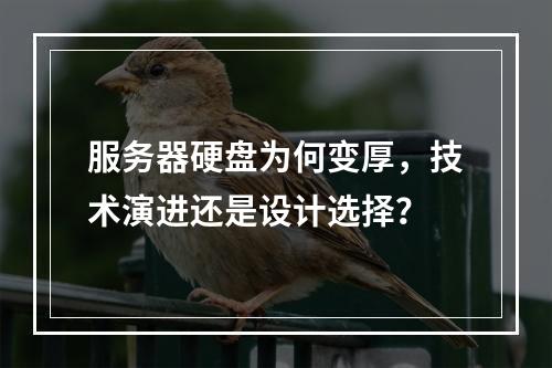 服务器硬盘为何变厚,技术演进还是设计选择?