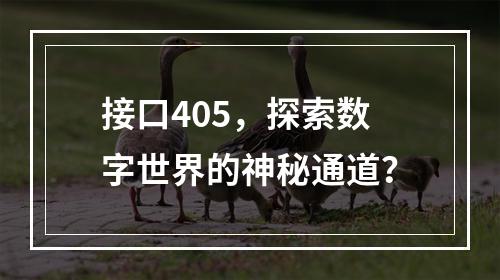 接口405,探索数字世界的神秘通道?
