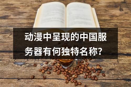 动漫中呈现的中国服务器有何独特名称?