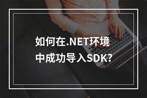 如何在.NET环境中成功导入SDK?
