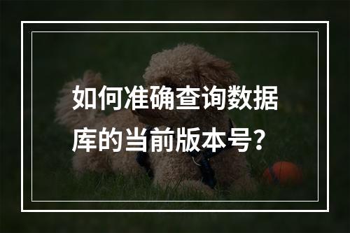 如何准确查询数据库的当前版本号?