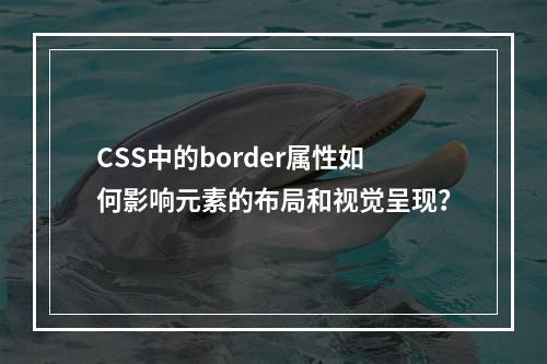 CSS中的border属性如何影响元素的布局和视觉呈现?