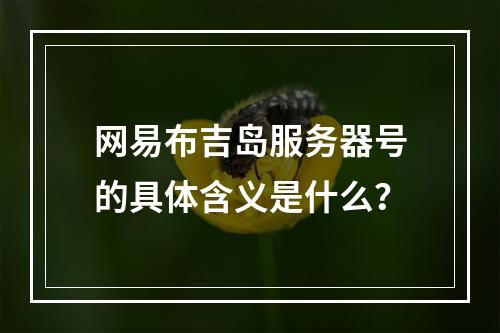 网易布吉岛服务器号的具体含义是什么?