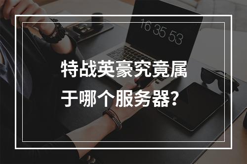特战英豪究竟属于哪个服务器?