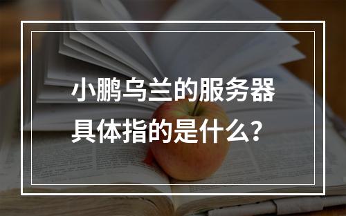 小鹏乌兰的服务器具体指的是什么?