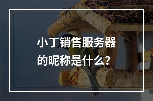 小丁销售服务器的昵称是什么?