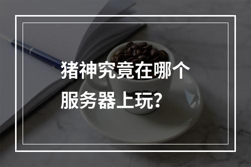 猪神究竟在哪个服务器上玩?