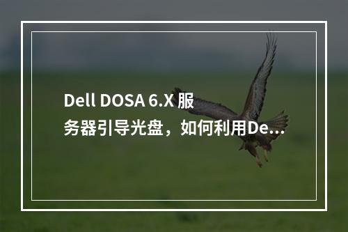 Dell DOSA 6.X 服务器引导光盘,如何利用Dell Systems Build and Update Ut简化系统部署?
