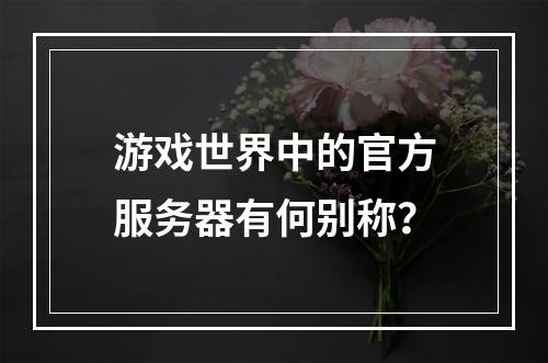 游戏世界中的官方服务器有何别称?