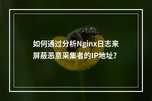 如何通过分析Nginx日志来屏蔽恶意采集者的IP地址?