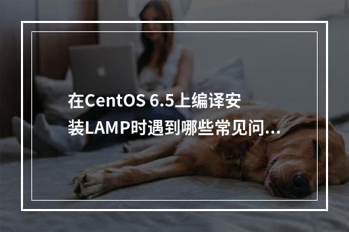在CentOS 6.5上编译安装LAMP时遇到哪些常见问题,应如何解决?