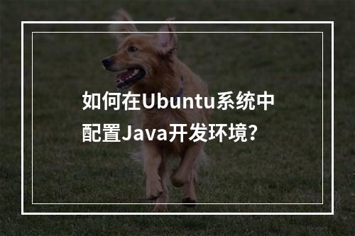 如何在Ubuntu系统中配置Java开发环境?