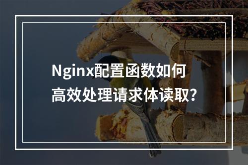 Nginx配置函数如何高效处理请求体读取?