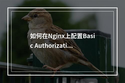 如何在Nginx上配置Basic Authorization实现登录认证?