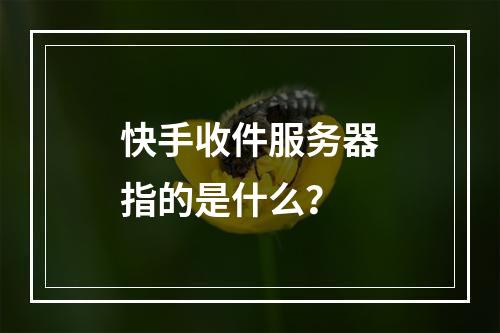 快手收件服务器指的是什么?