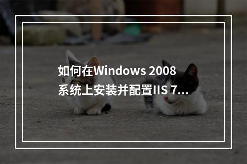 如何在Windows 2008系统上安装并配置IIS 7.0?