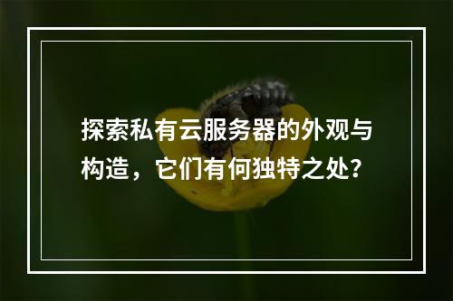 探索私有云服务器的外观与构造,它们有何独特之处?