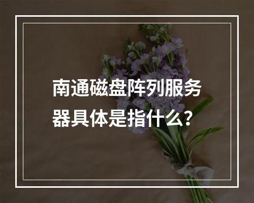 南通磁盘阵列服务器具体是指什么?