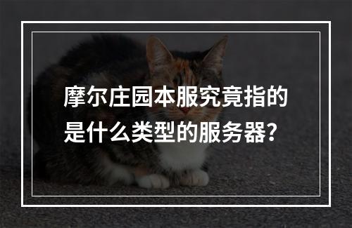 摩尔庄园本服究竟指的是什么类型的服务器?