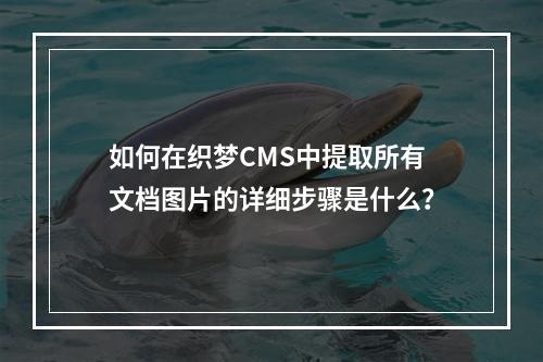 如何在织梦CMS中提取所有文档图片的详细步骤是什么?